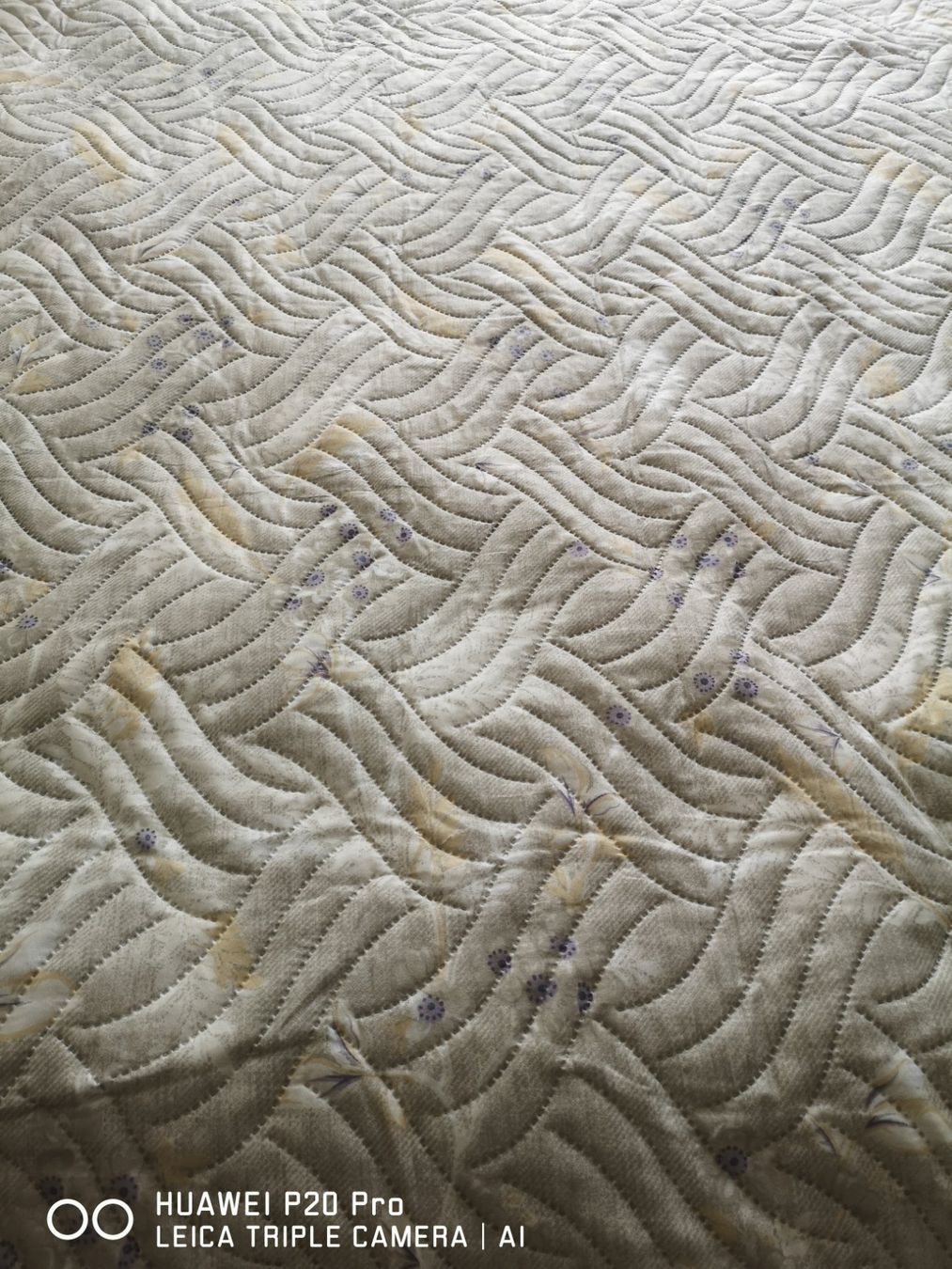 Coperte: Tages Decke Neu – Nuovo e nell'imballaggio originale da Frenkendorf venduto da DORU1