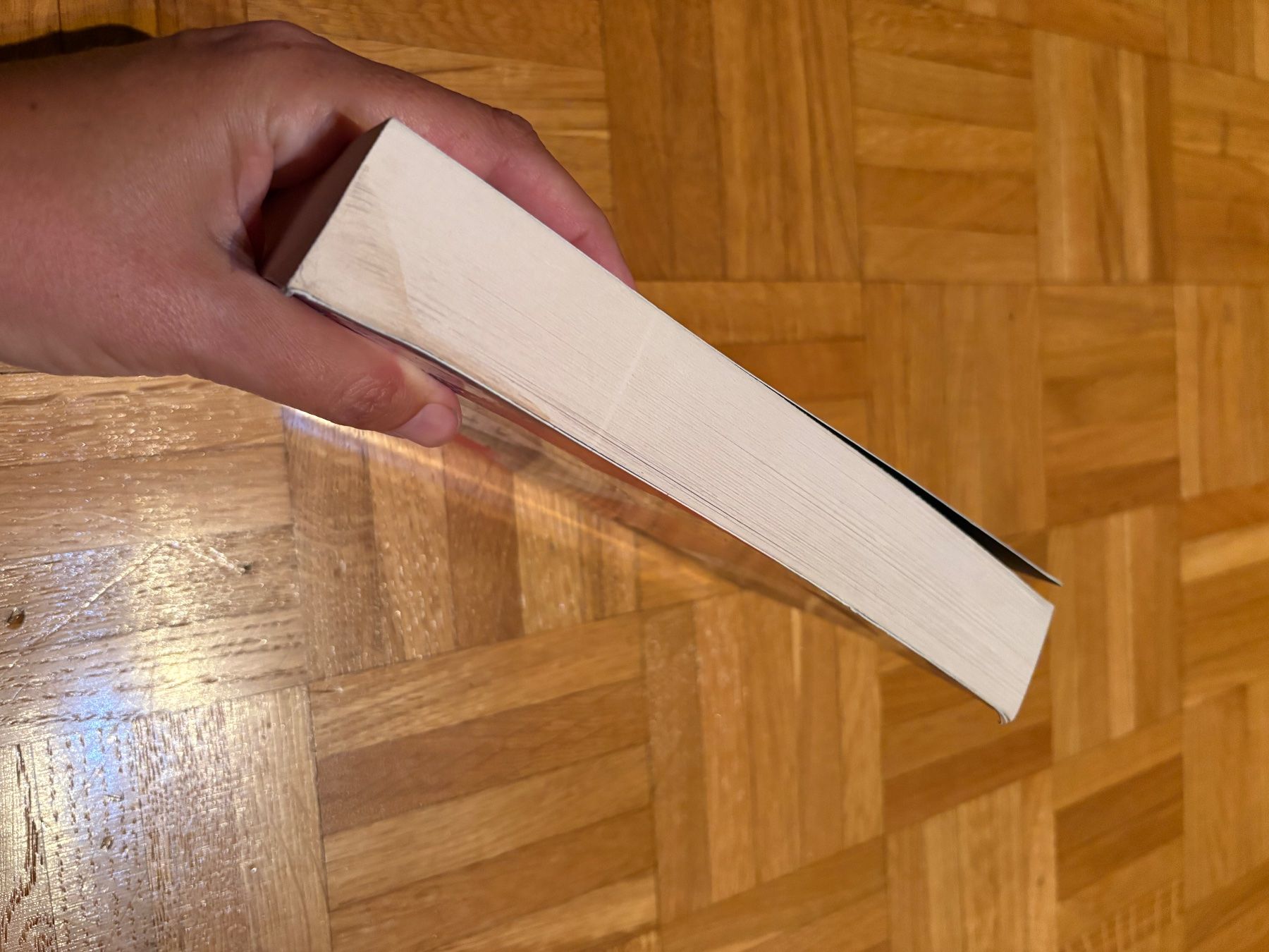 Libri: Stranger Things - Tome 2 : Stranger Things - Rebel Robin – Usato da Genève venduto da sunandwind 2