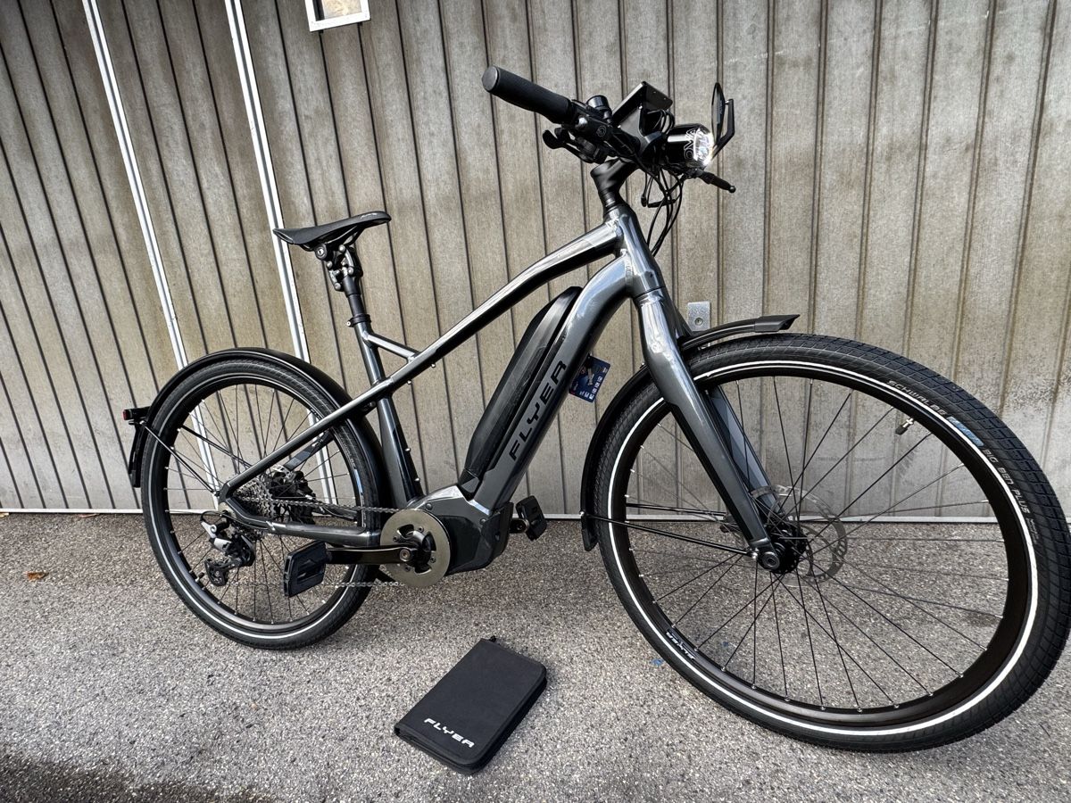 für FLYER C-Serie, Original E-Bike Ladegerät 36V 4A