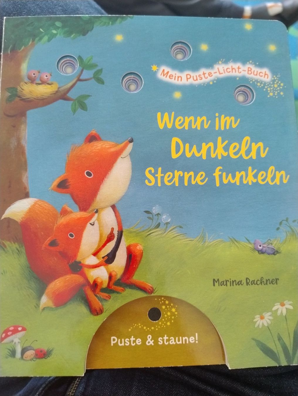 Libri: Wenn im Dunkeln Sterne Funkeln – Usato da Bätterkinden venduto da livingdreams