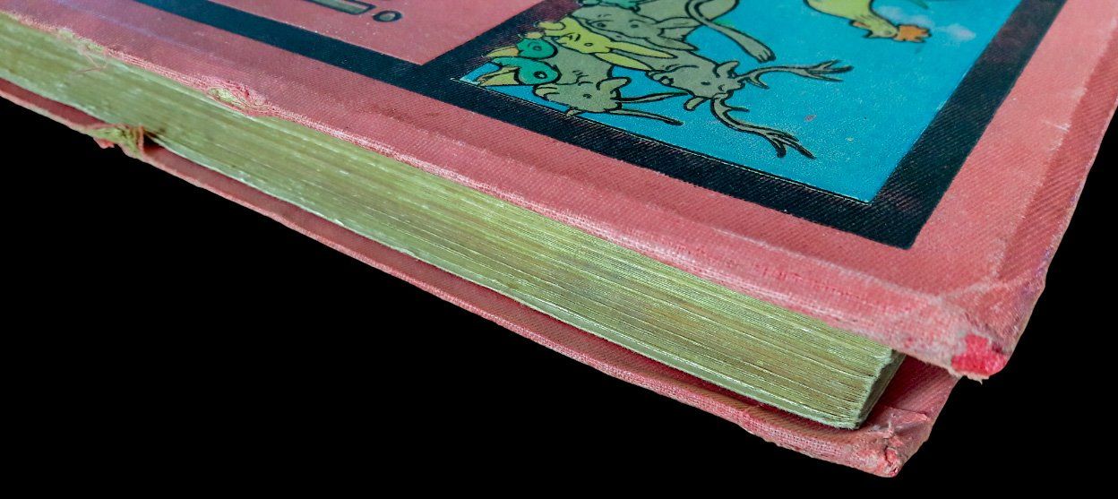 Libri: Le Buffon choisi Benjamin Rabier Garnier v. 1920 Animaux – Usato da Tavannes venduto da Nekosumi 8