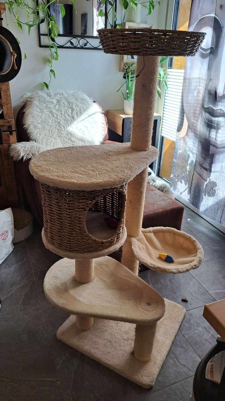 Katzenbaum - Kratzbaum: Karzenkratzbaum – Gebraucht aus Preles von crazydream 3