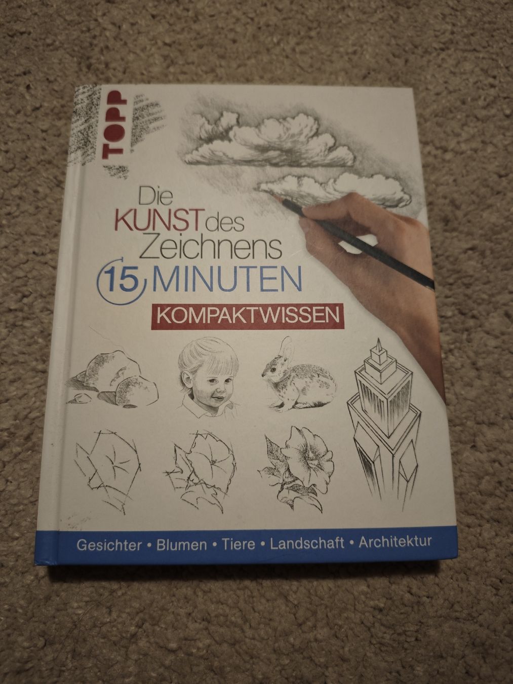 Libri: Die Kunst des Zeichnens TOPP – Usato da St. Margrethen SG venduto da bienlii