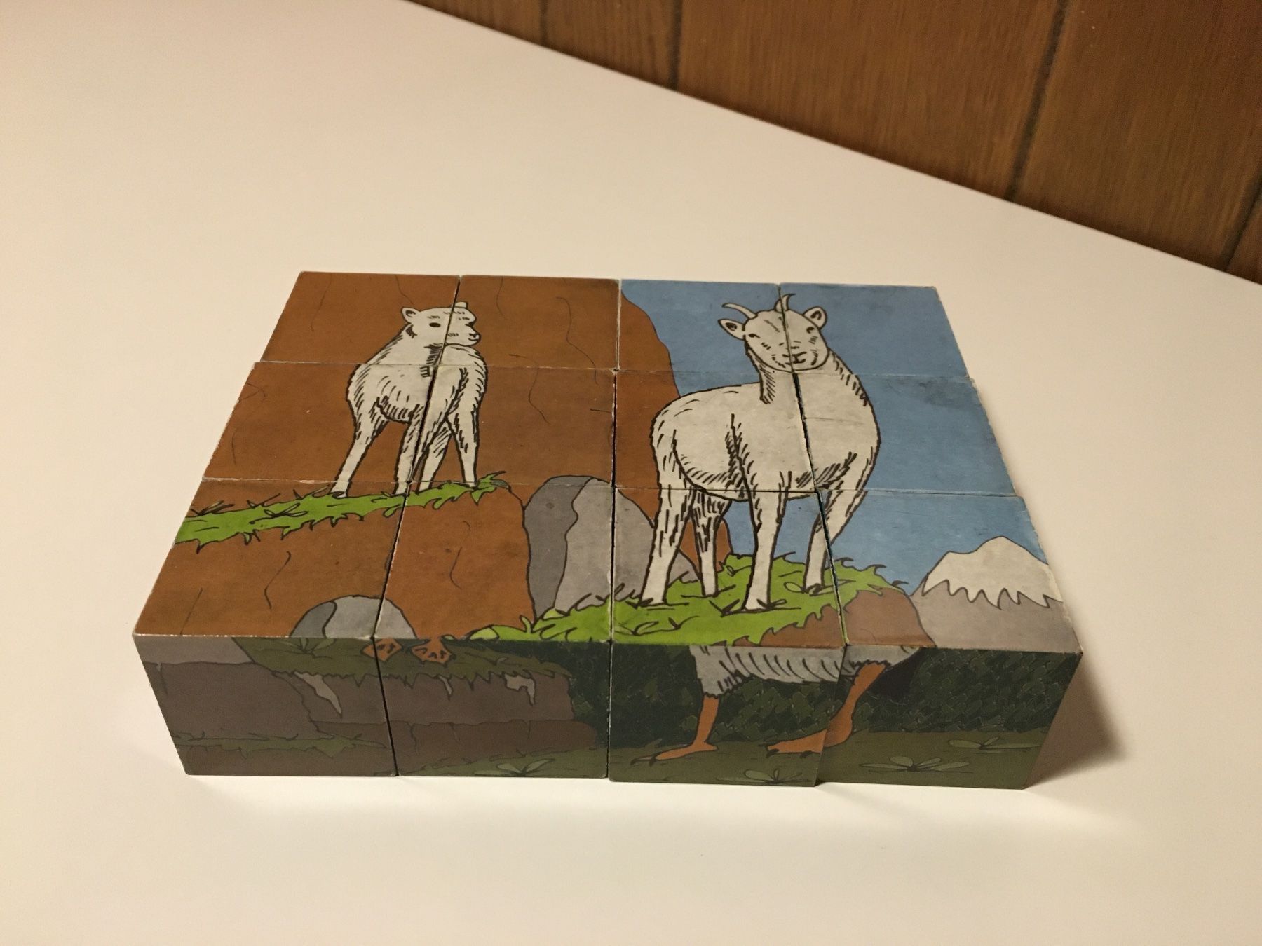 Puzzle: Alaska Block Puzzle in englisch – Usato da Andwil SG venduto da Rainboli 5