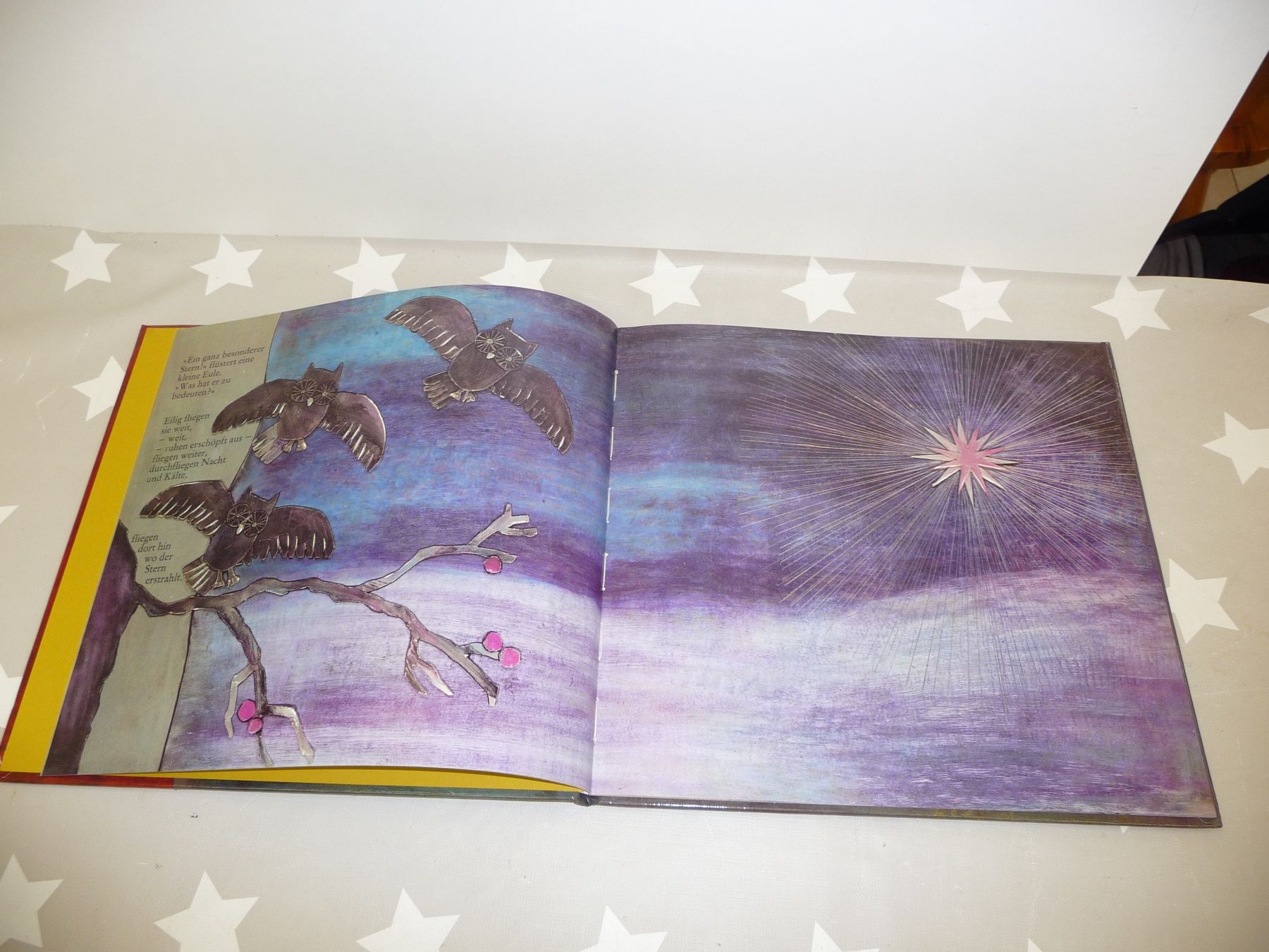 Libri: Buch: Eine Wundersame Nacht Else Schwenk-Anger – Usato da Rafz venduto da Powacaddy 2