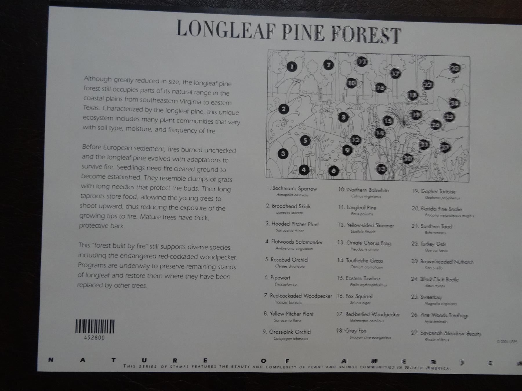 Tutti i francobolli: 10 x US$ -.34 Longleaf Pine Forest 2001 – Nuovo (secondo la descrizione) da Lupfig venduto da Hubi64 1