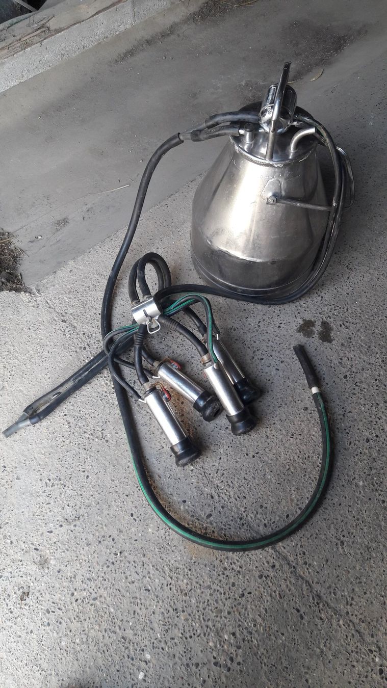 Westfalia Tutte le macchine: Melkmaschine Wesfalia nummer 1 – Usato da Laufen venduto da Mann455 4