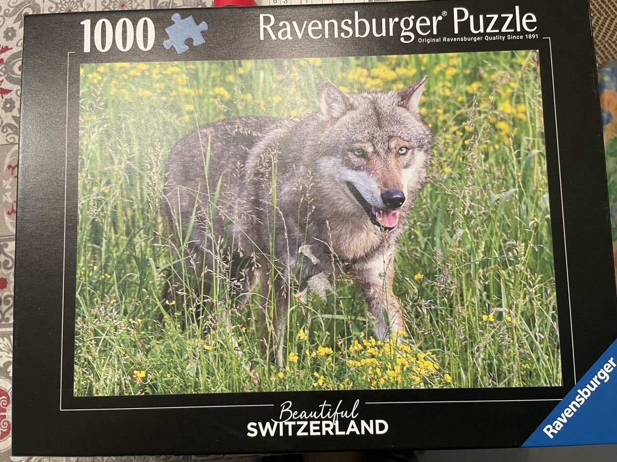 Ravensburger Puzzles: Ravensburger Puzzle 1000er – Gebraucht aus Oetwil an der Limmat von Pata