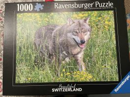 Ravensburger Puzzle 1000er