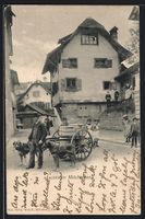 AK Luzern, Milchmann mit Hundegespann