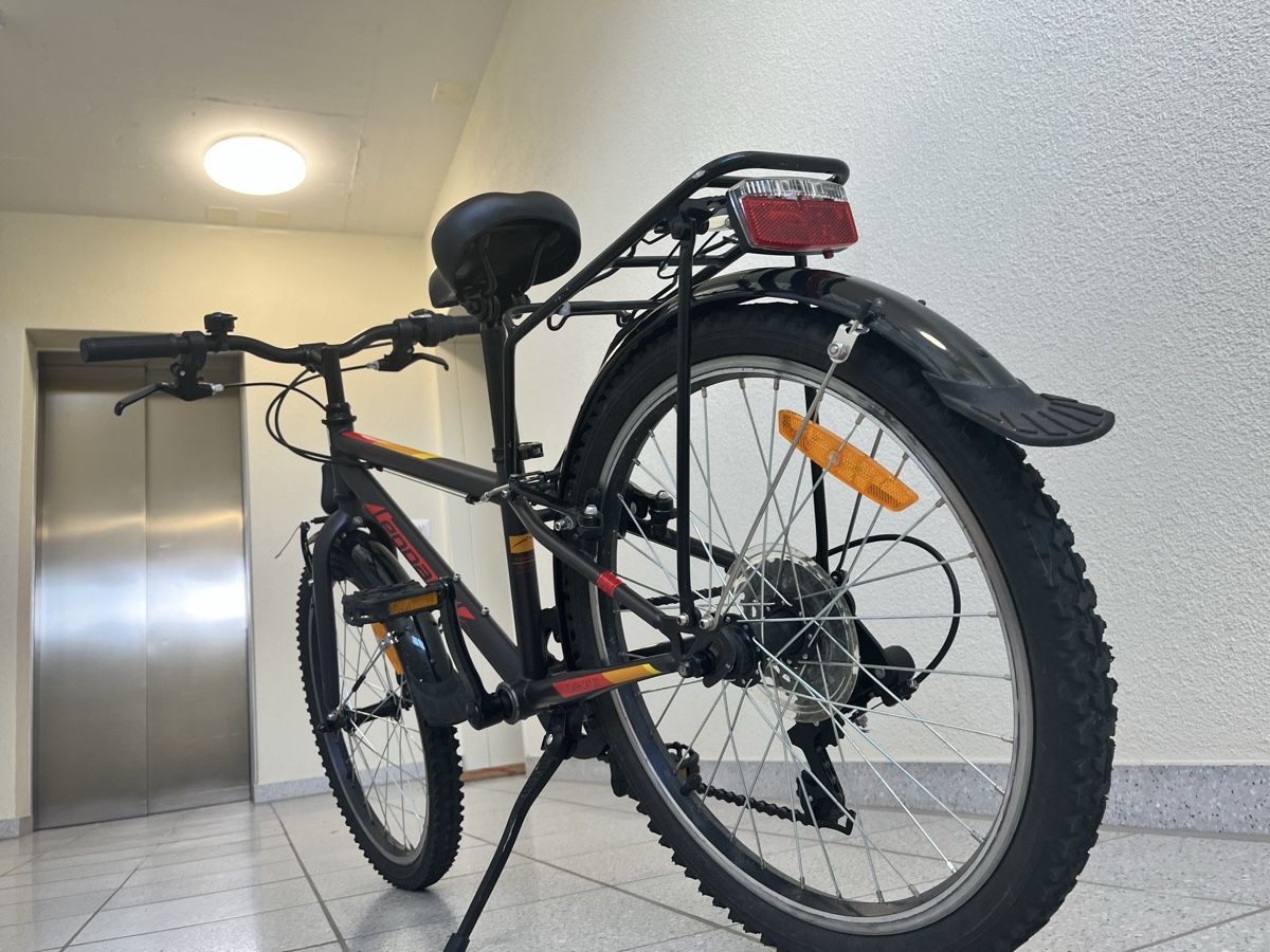 Leopard Biciclette: Velo 20 Zoll Leopard Flash cat 20 – Usato da Zürich venduto da Chloemanza 3