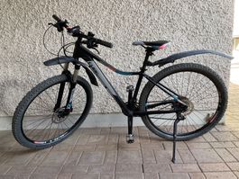 Cube Access Race 29” MTB Damen / Unisex fahrbereit