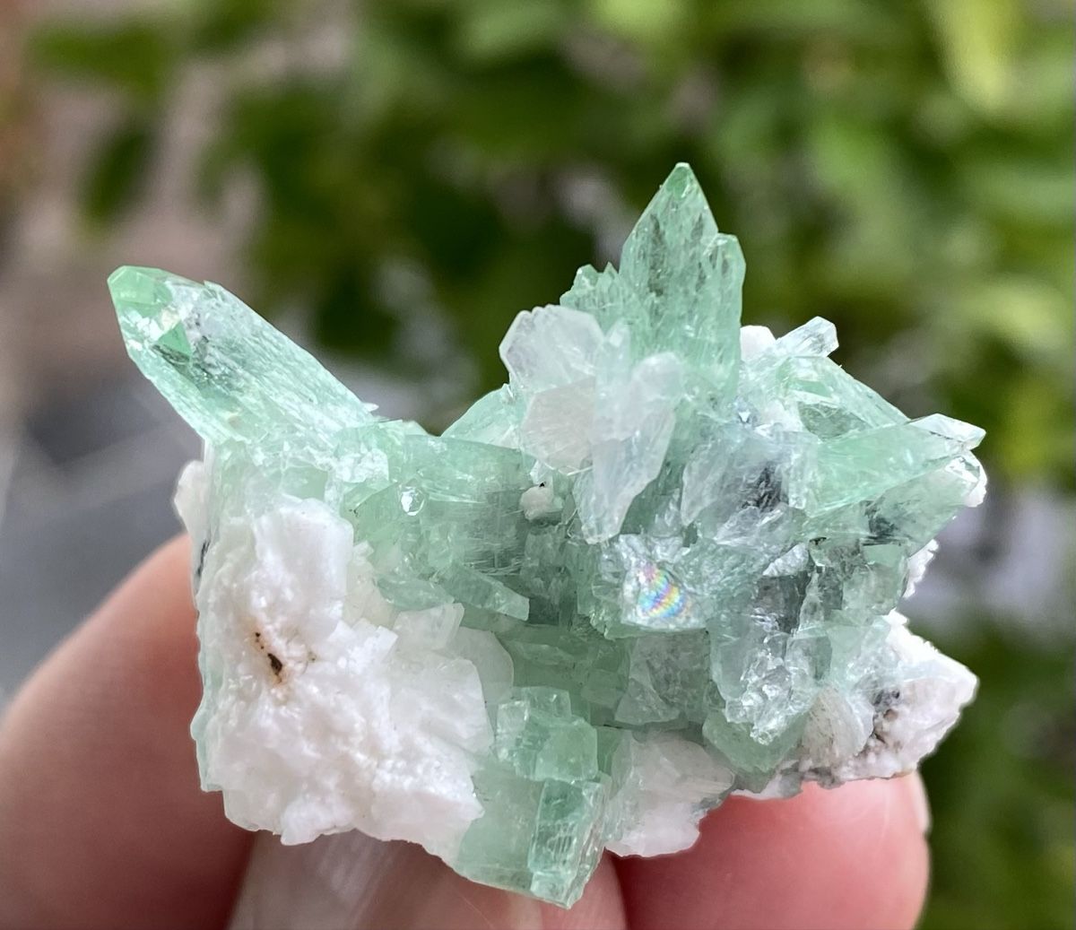 Mineralien & Heilsteine: Wunderschöne Apophyllit Stufe Indien  – Gebraucht aus Selzach von 321compac 6