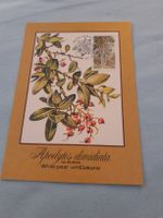 Carte postale botanique vintage - Collection rare!