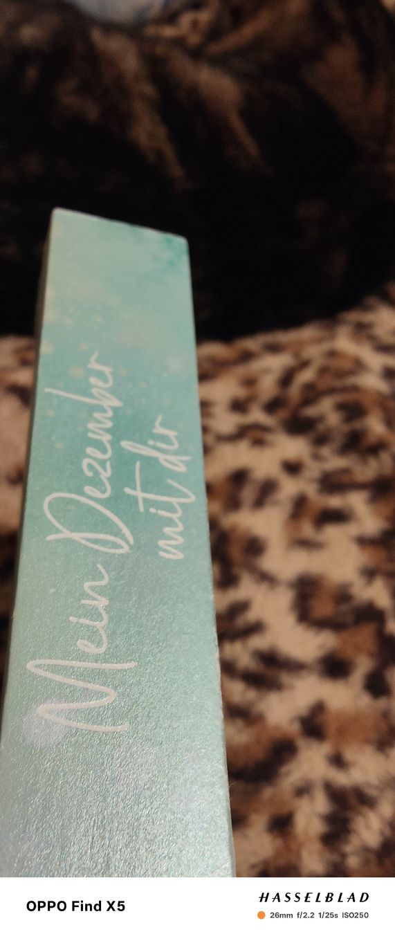 Libri: Mein Dezember mit dir – Usato da Volken venduto da katz5 1