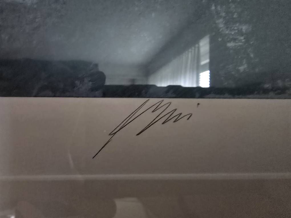 Foto & Immagini: Hans Erni Bild zu verkaufen – Usato da Bäch SZ venduto da kusi282