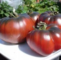 TOMATE Schwarze (NOIRE DE CRIMEE ) / 10 Samen