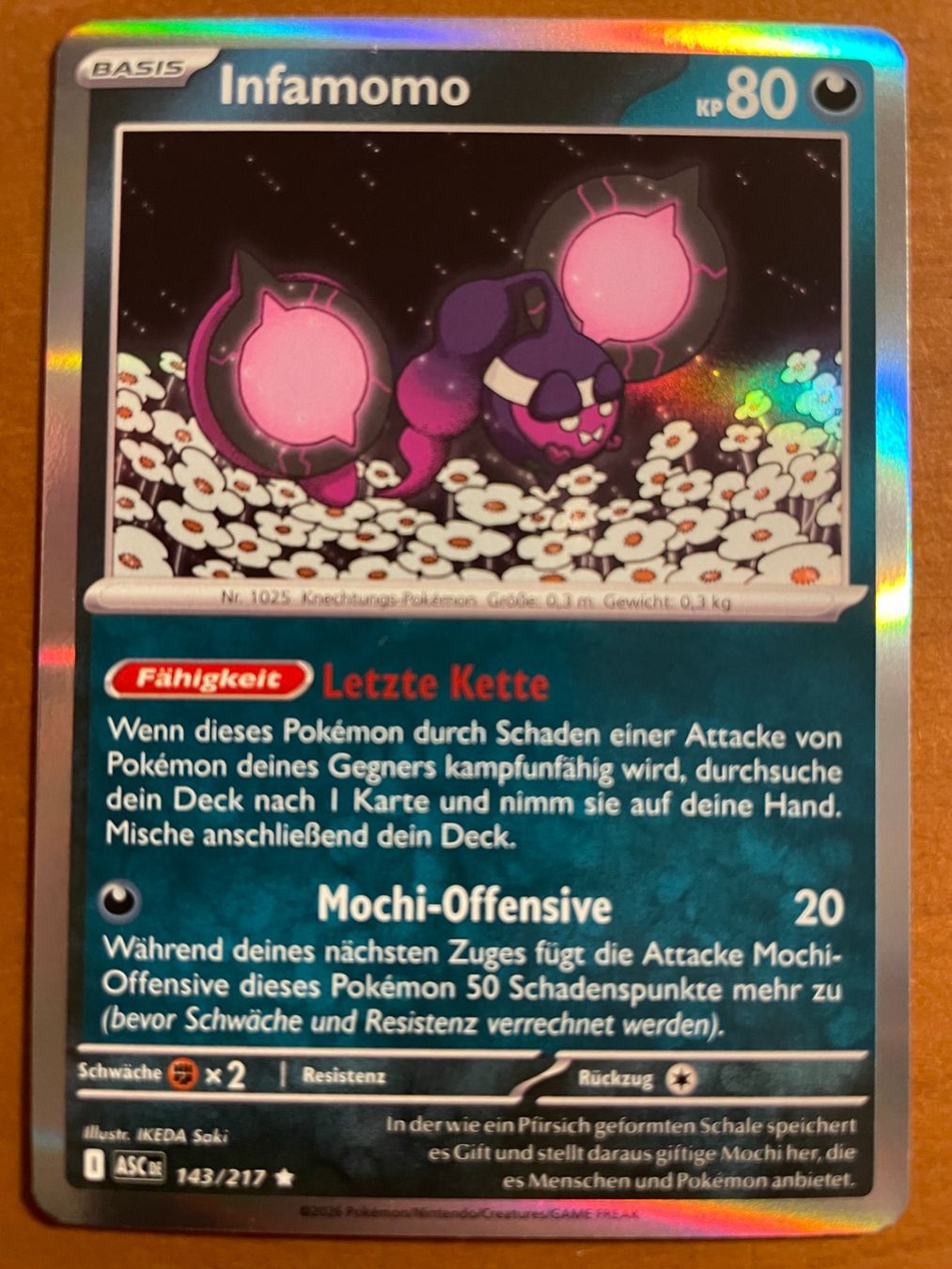 Pokémon Carte collezionabili: Pokemon Infamomo Holo (Versand gratis) – Nuovo (secondo la descrizione) da Chur venduto da Angerson