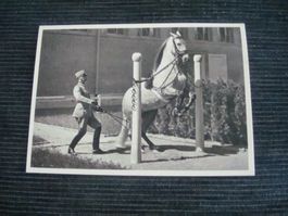 AK - Militär - Kaserne Eidg. Kavallerie Remontendepot Bern