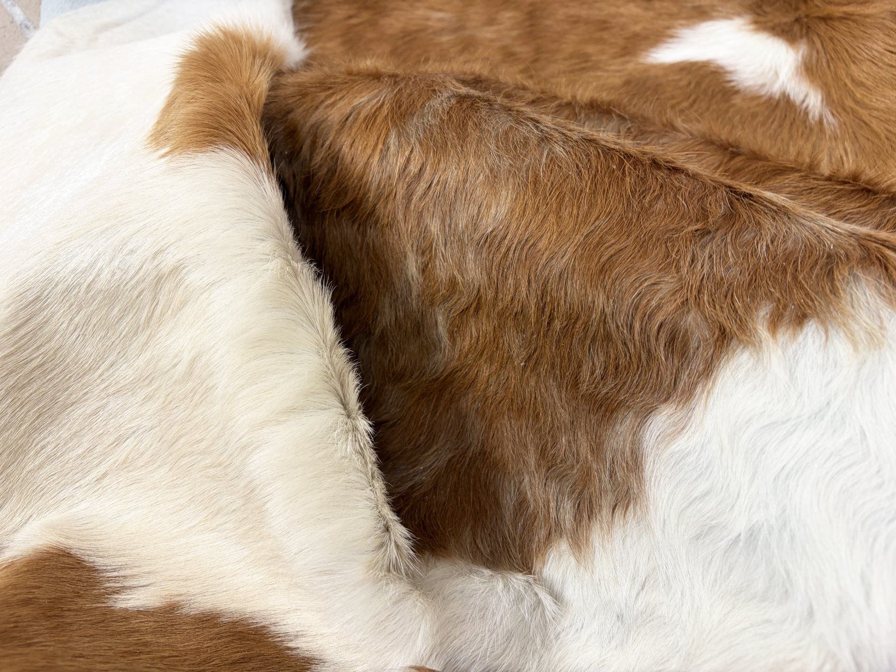 Tappeti: echtes Kuhfell Teppich – Nuovo e nell'imballaggio originale da Arbedo venduto da patagonialeatherrugs 2