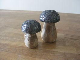 2 wunderschöne Holz Pilzli mit Glitzer
