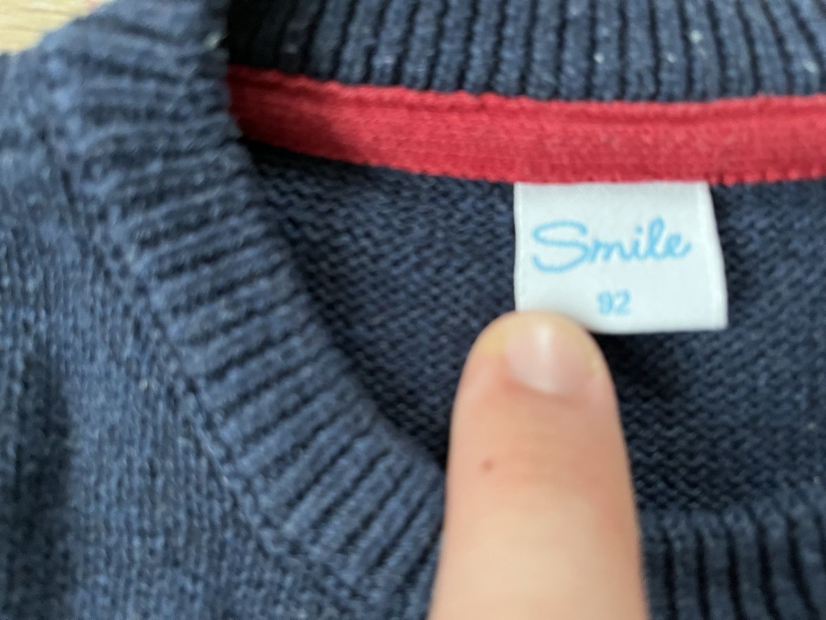 Pulls & Sweat-shirts: Pullover Gr. 92 – D'occasion à Sulz AG par Zissi31324 1