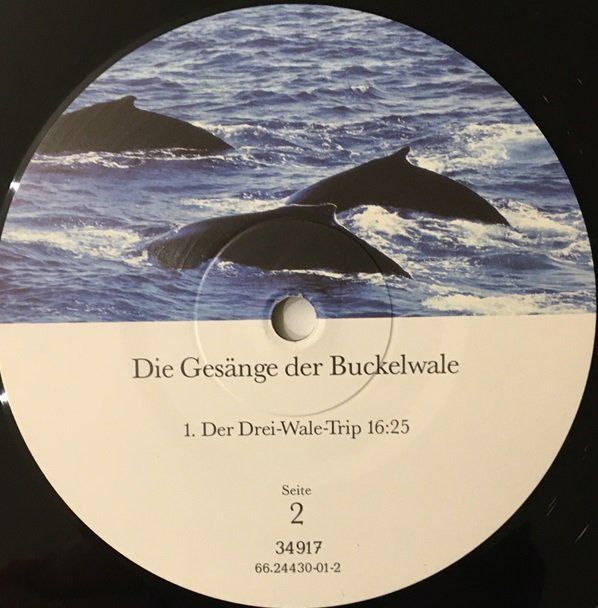 Schallplatten: Die Gesänge der Buckelwale (LP) – Gebraucht aus Grüningen von azulvinyl 3