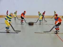Hockeykasten WISA GLORIA Eishockey Holz