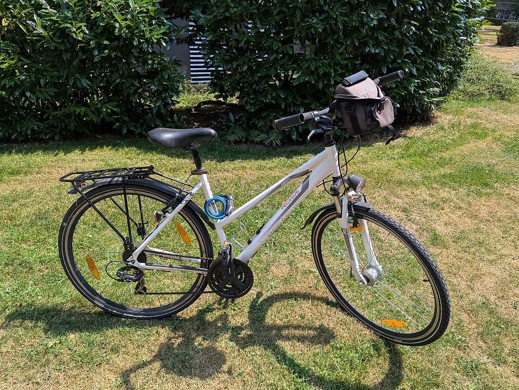 Biciclette: Pegasus Avanti Velo – Usato da Bern venduto da deb_t8fl