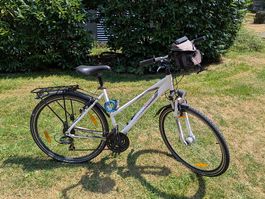 Pegasus Avanti Velo
