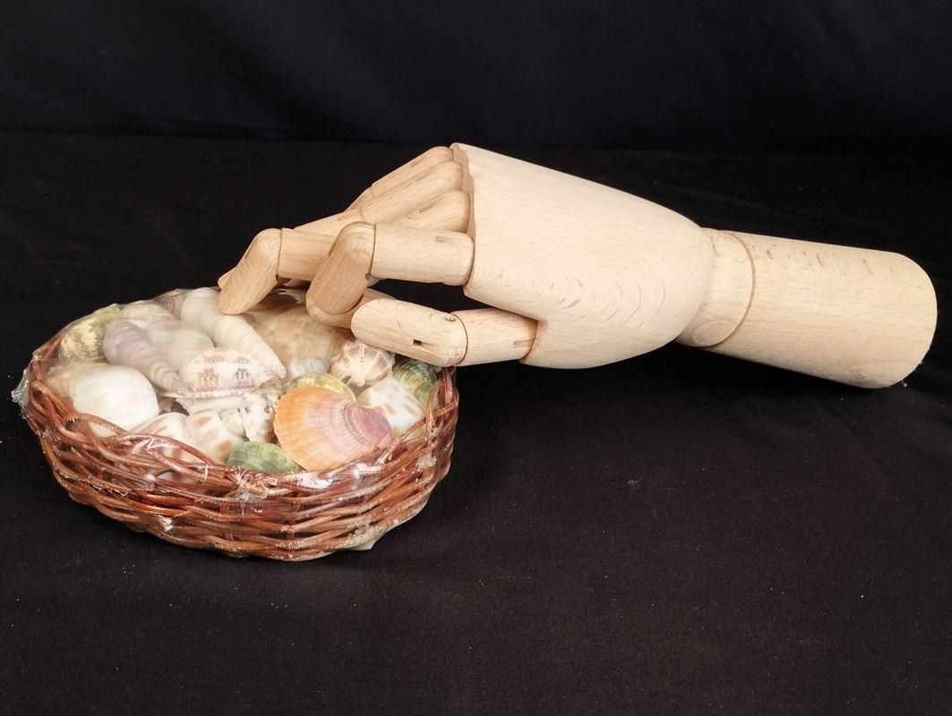 Tutte le decorazioni: Muschel-Set Dekoartikel – Nuovo e nell'imballaggio originale da Schübelbach venduto da Restwert_Schubelbach 4