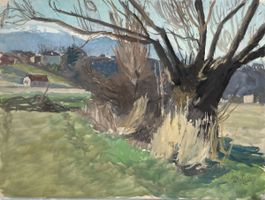 I. Ch. Goetz aquarelle vieux saule au pied du Jura