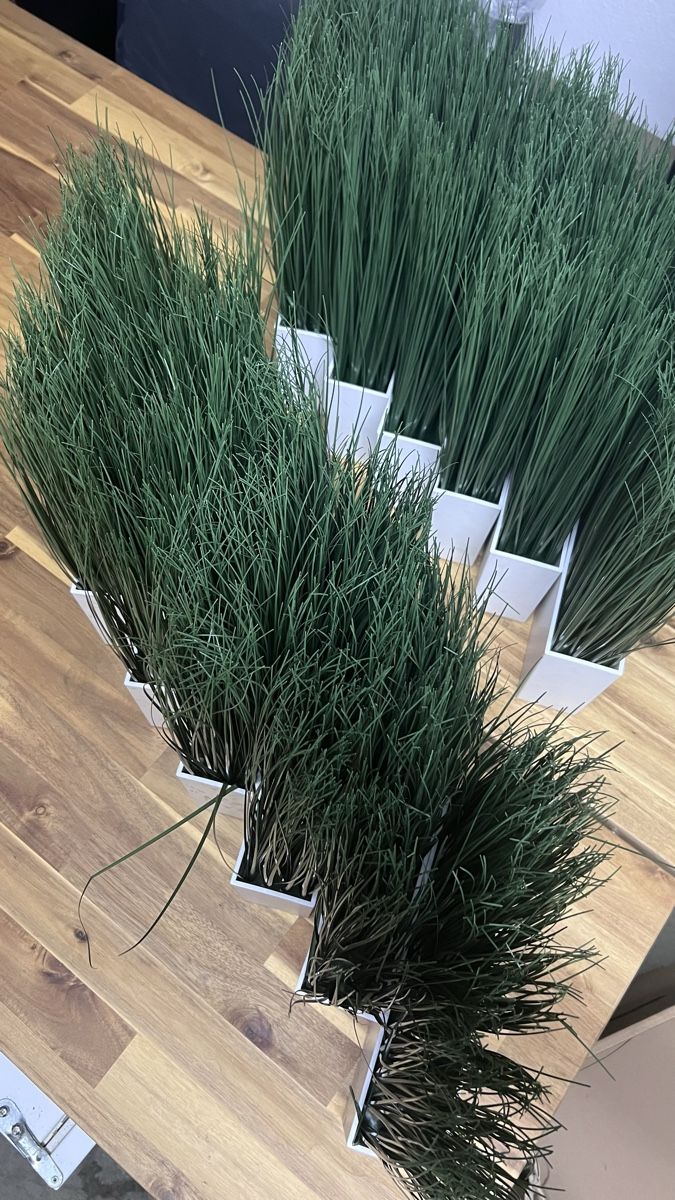 Ikea Tutte le decorazioni: 12 Kunstgras Pflanzen IKEA  mit weissem Topf Grösse – Usato da Wil SG venduto da mia2016 3