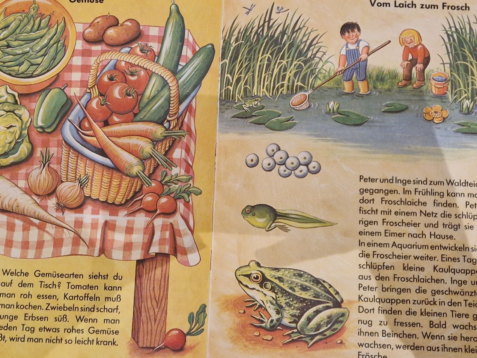 Bücher: wunderschöne Kinderbücher, ab 3Fr. pro Buch – Gebraucht aus Henau von ale_bc8n 5