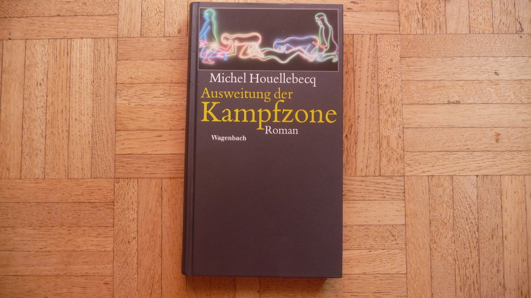 Libri: Michel Houelllebecq, Ausweitung der Kampfzone – Usato da Zürich venduto da Edje