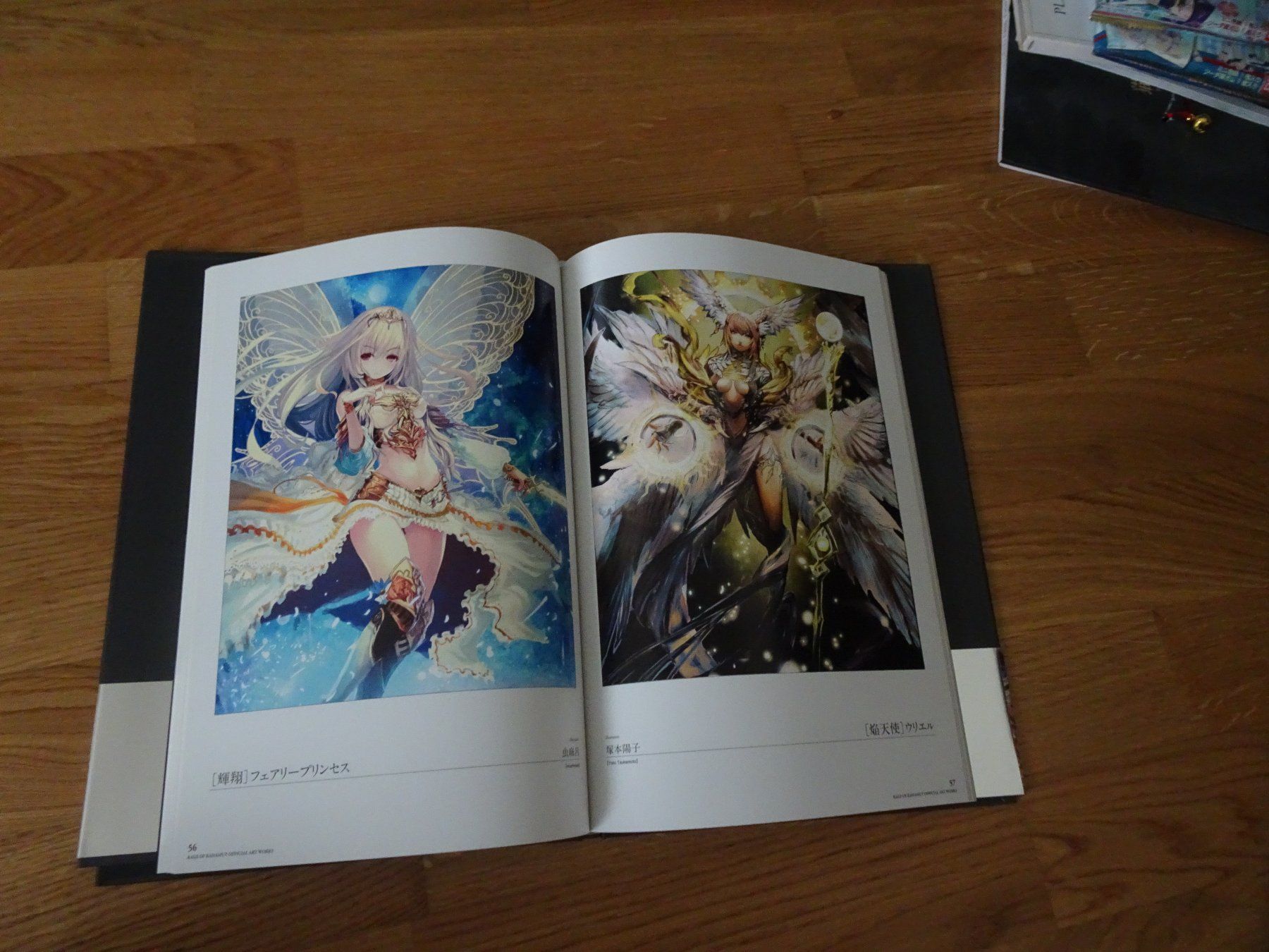 Libri: Shingeki no Bahamut Art Book – Usato da Bern venduto da Maronn 3
