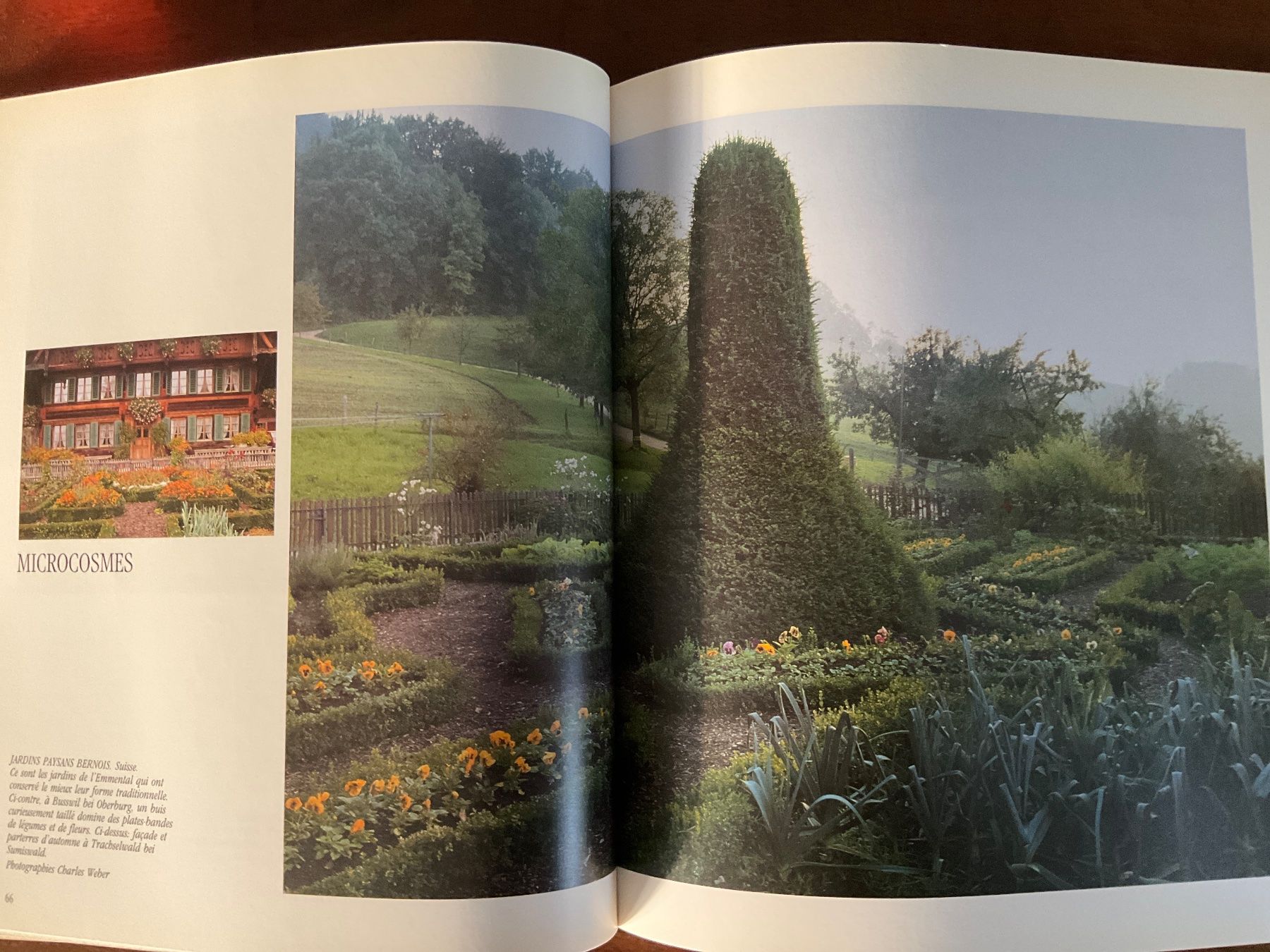 Bücher: Odeurs de Jardins Lorette Cohen – Gebraucht aus Avenches von Lactobacille 2