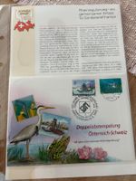 Schweiz Spezial Briefmarke Rheinregulierung Doppelstempelung