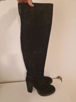 💥overknees Vicini / Giuseppe Zanotti aus Wildleder