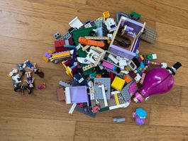 Lot de pièces Lego Friends avec figurines et accessoires