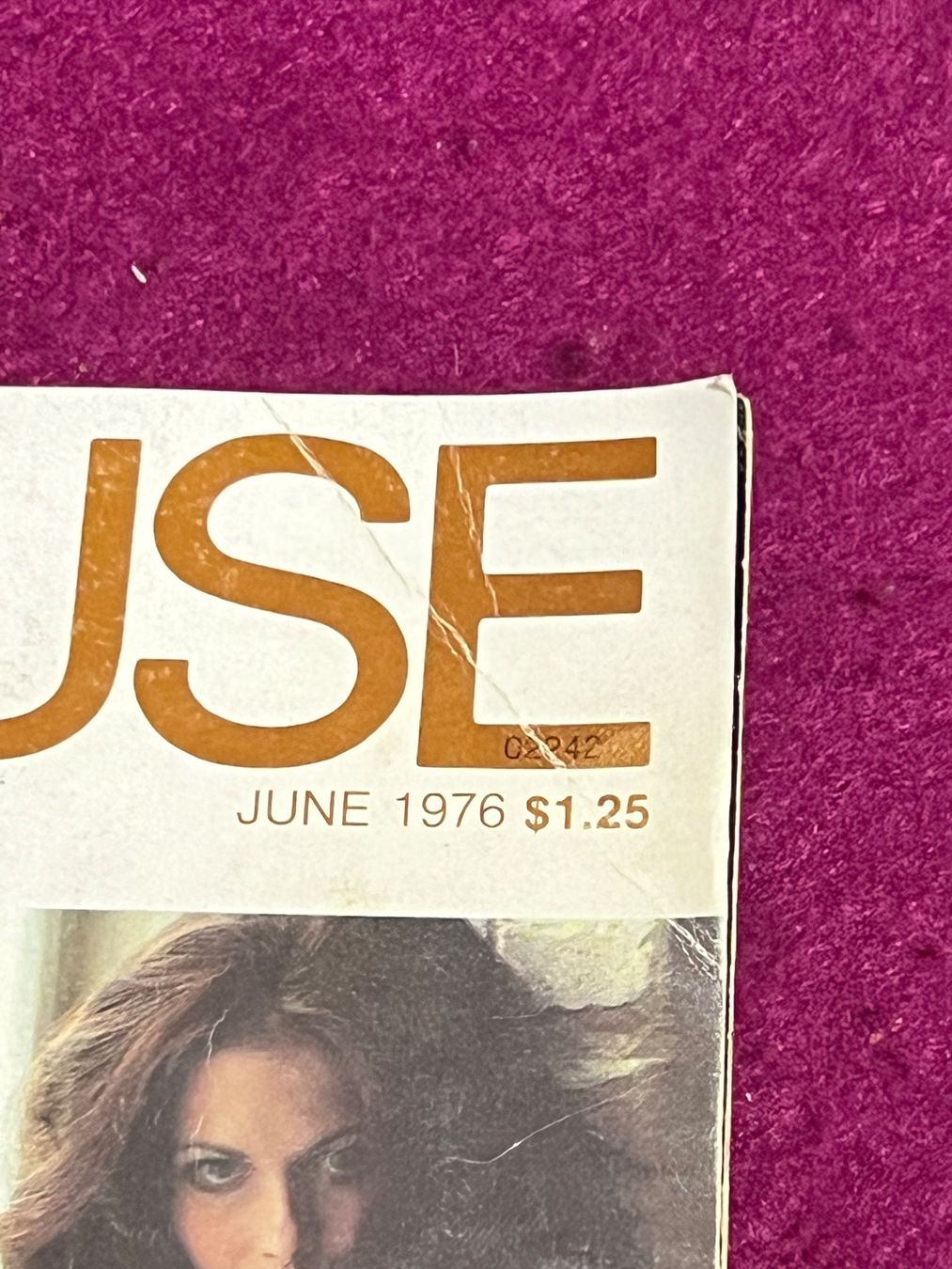 Riviste & Magazine: PENTHOUSE (c) US original Ausgabe – Usato da Uster venduto da Mr.Twister 1
