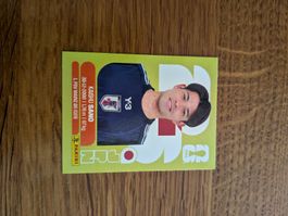 Panini Japan 8