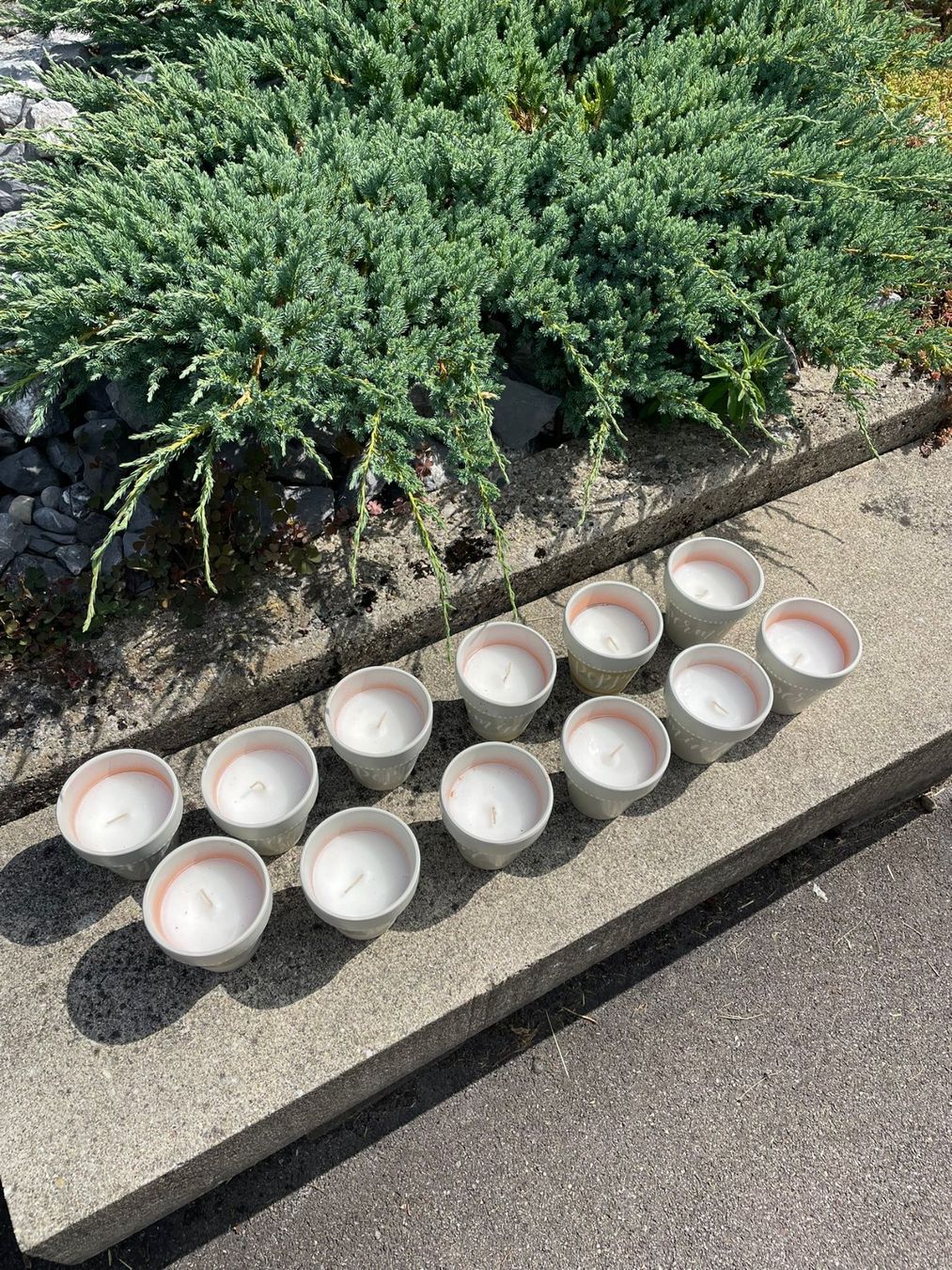 Candele: 12er Set Kräutertöpfe "Pepper" mit Kerze, Balthasar – Nuovo e nell'imballaggio originale da Wängi venduto da LiqKojote 1