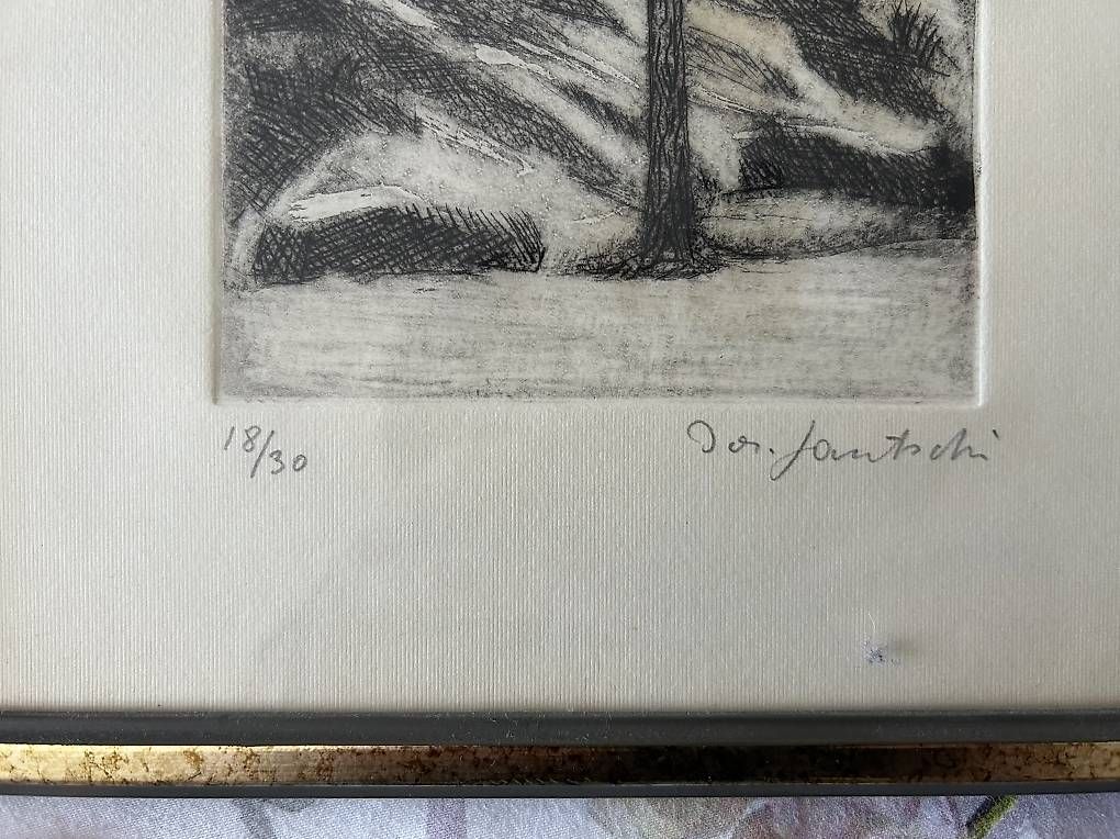 Grafiken & Lithographien: Lithography Gautschi -4 tableaux  – Gebraucht aus Morges von flo_68sd 2