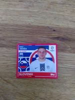 🤩 SVN 10 - Topps Euro 2024 Sticker