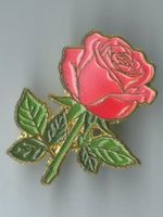 Rose, Pin