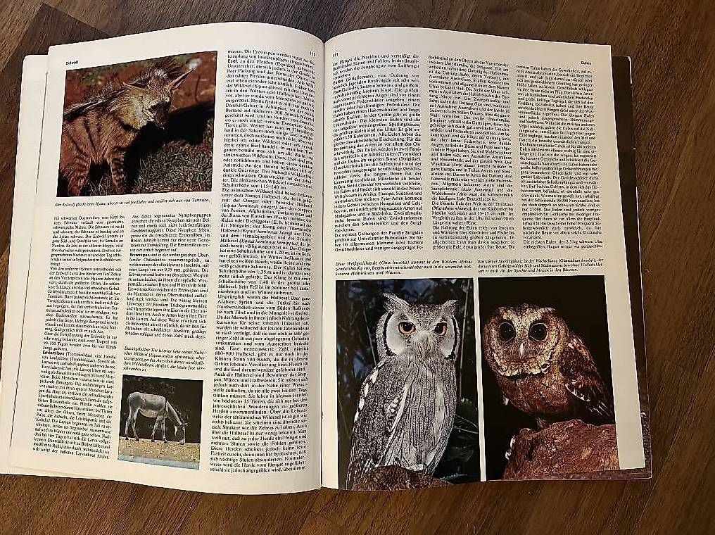 Libri: Das grosse farbige Tierlexikon – Nuovo (secondo la descrizione) da Oberrohrdorf venduto da Augustus5 3
