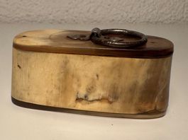 Schnupftabakdose Dose Snus Kautabak Vintage Antik 19. Jh.
