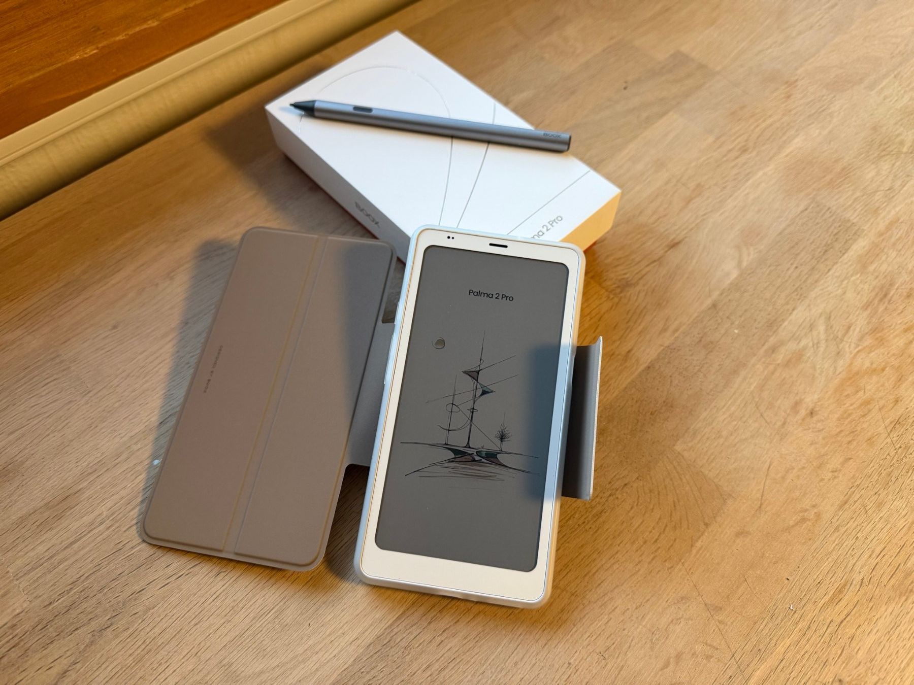Boox Tablet PC: BOOX Palma 2 Pro – Usato da Grächen venduto da jm7_bq52