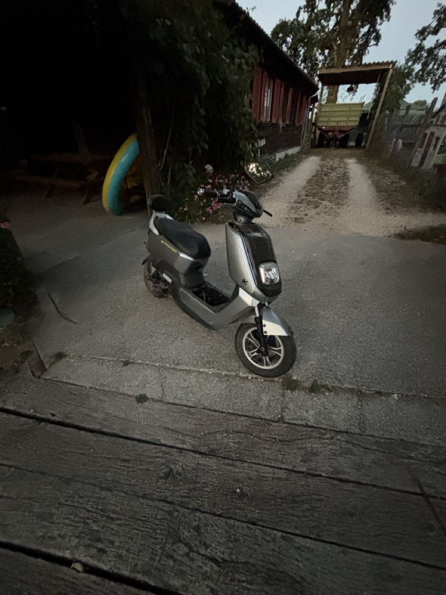 Voiturettes électriques: E Roller Nx1 – Défectueux à Dällikon par Global_Antik